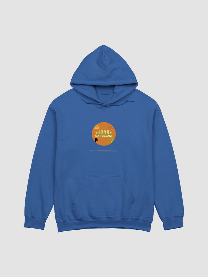 FFS Hoodie Royal - Felpa Royal FFS product image (1)