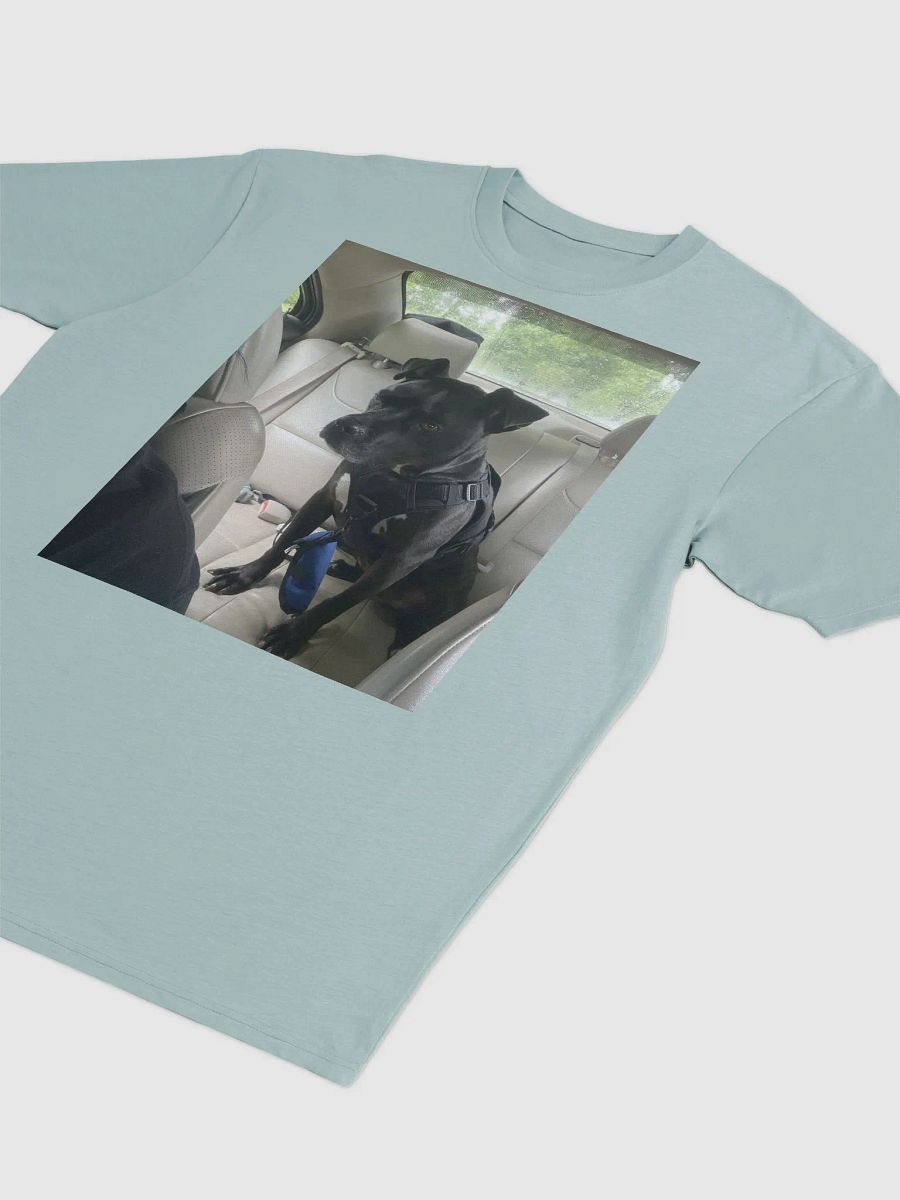 tee product image (12)