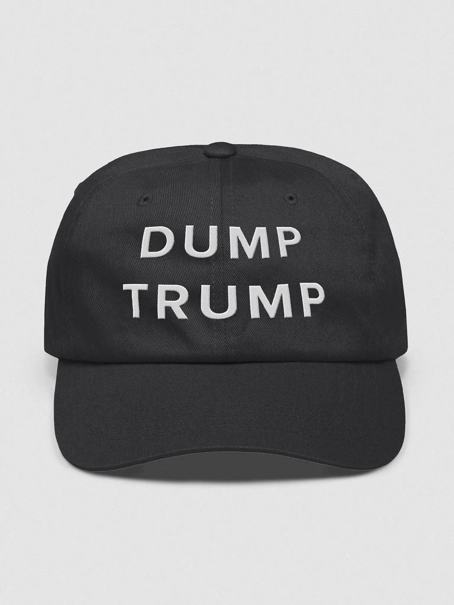 Bold Protest Dad Hat - DUMP TRUMP product image (3)