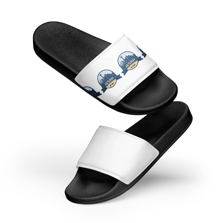 WSRP Slides product image (5)