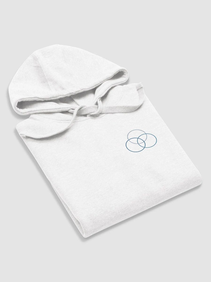 Kalkstein Chiropractic Comfort Hoodie (Blue Logo Print) product image (47)