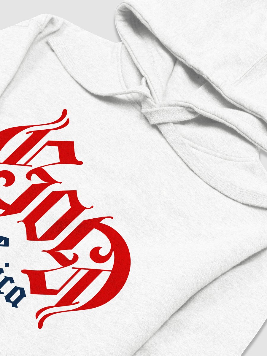 God Save America Red White Blue Hoodie product image (3)
