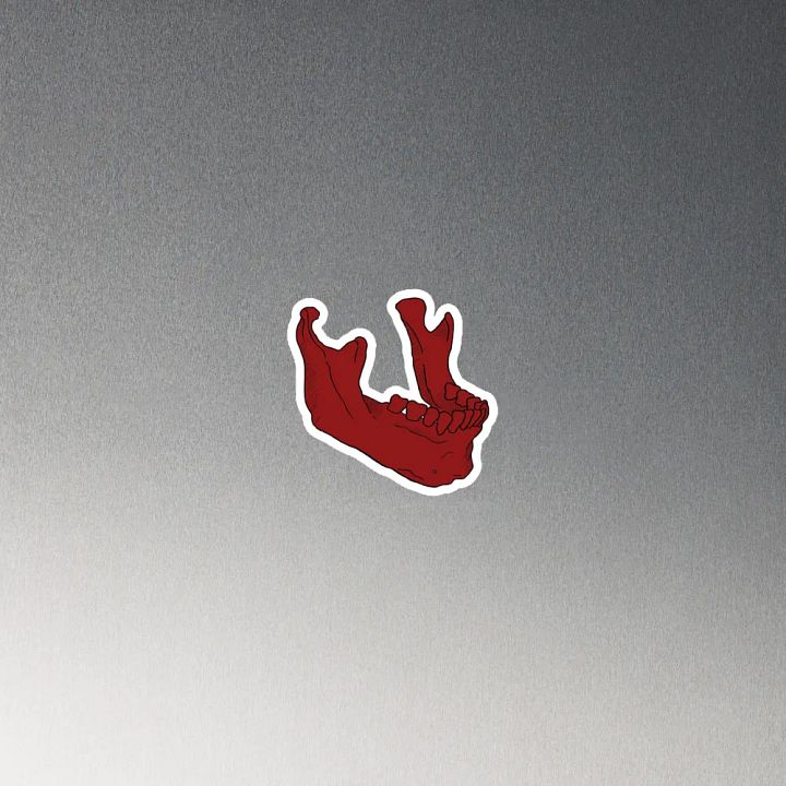 Jaw magnet product image (4)