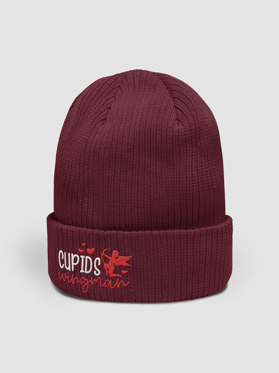 Cupid's Wingman Embroidered Organic Cotton Ribbed Beanie product image (11)