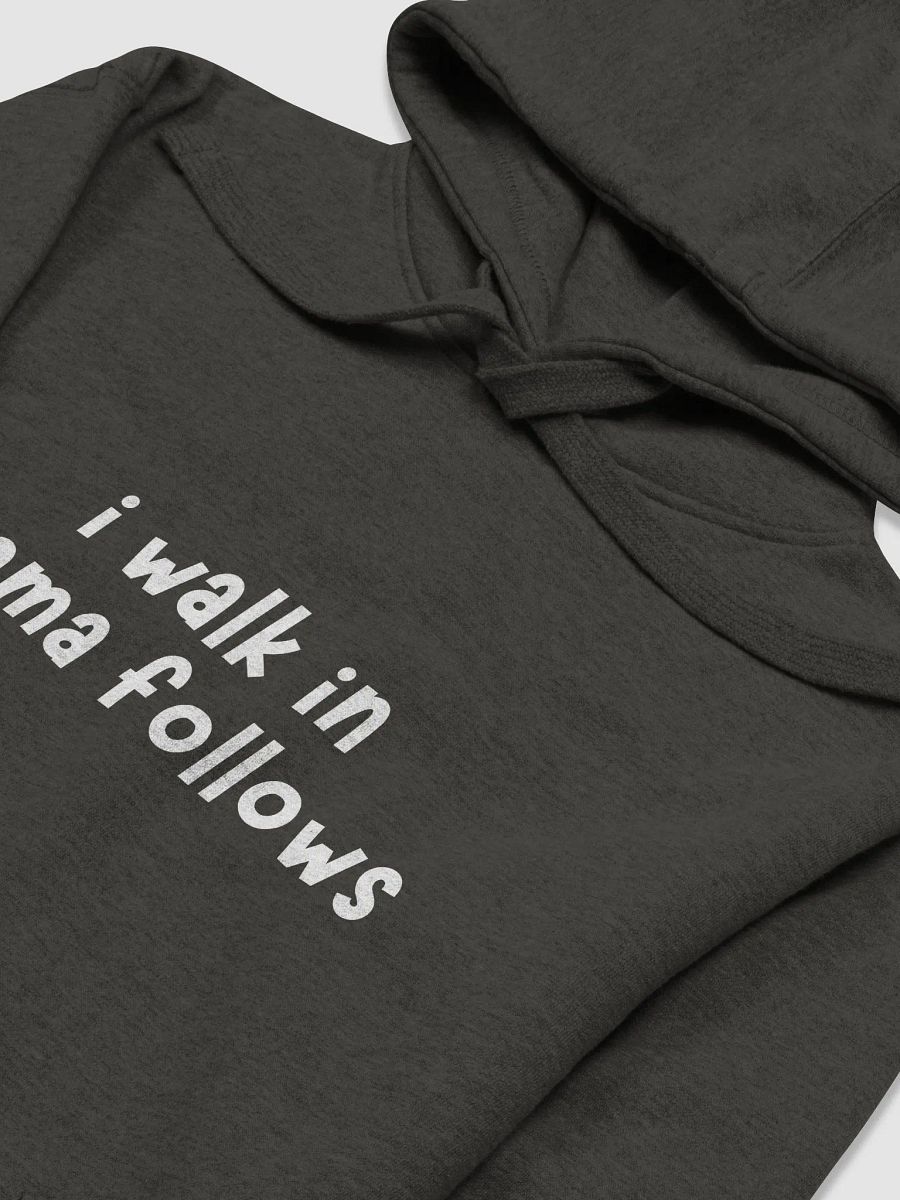 I Walk In Drama Follows Hoodie product image (6)