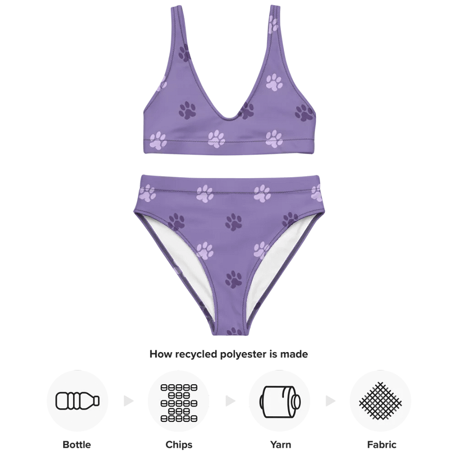 Paw Print High-Waisted Bikini product image (6)