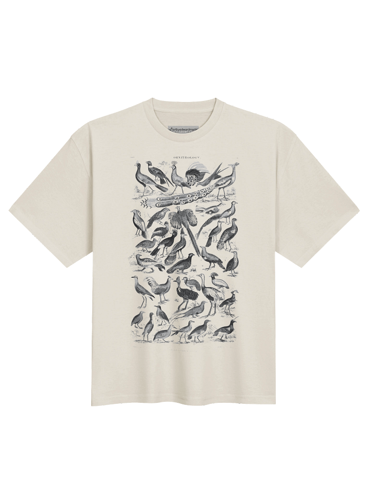 Ornithology Chart Oversized Tee product image (2)