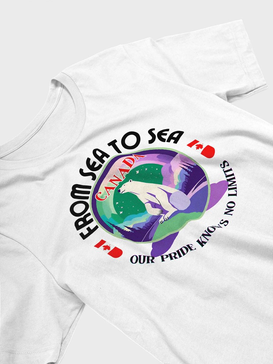 Northern Lights Pride T-Shirt product image (18)