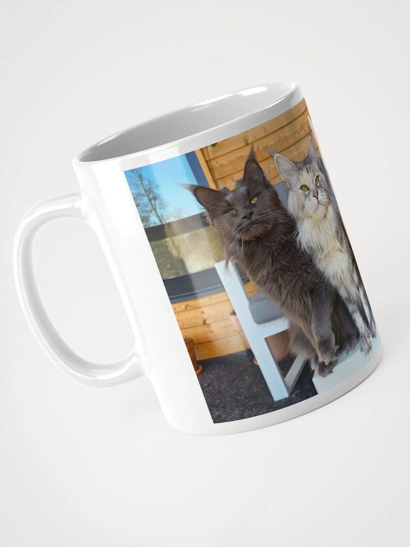 4 Generations - Mug