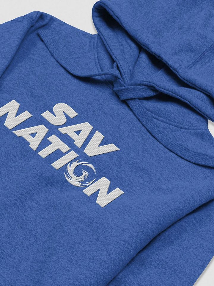Sav Nation Embroidered Hoodie product image (33)