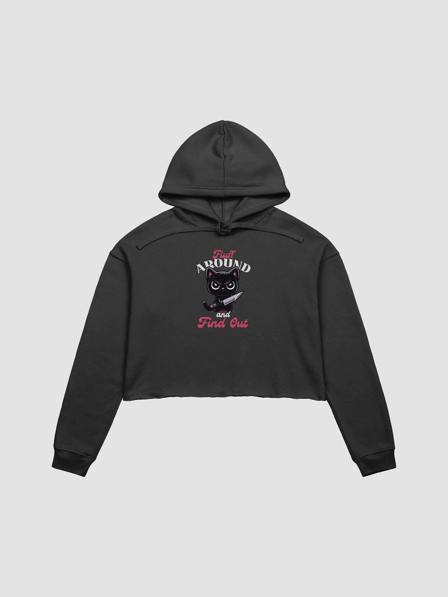 Fluff Around and Find Out Crop Hoodie product image (4)