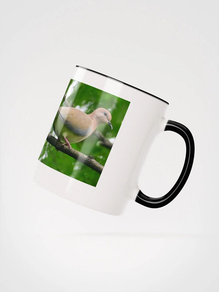 IUCAA Birds MUG product image (16)
