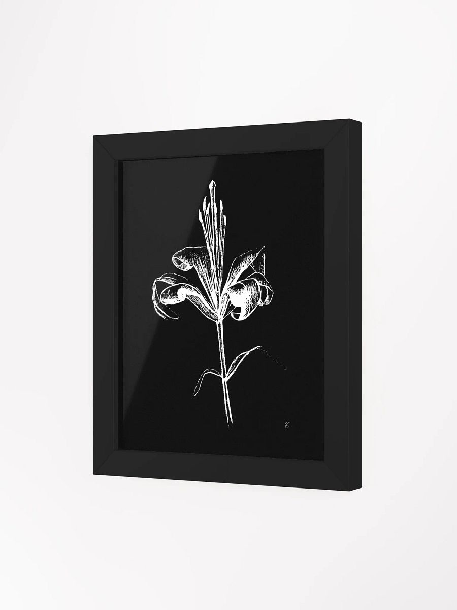 Lily Bloom Monochrome Framed Poster - Fine Flower Dark product image (16)