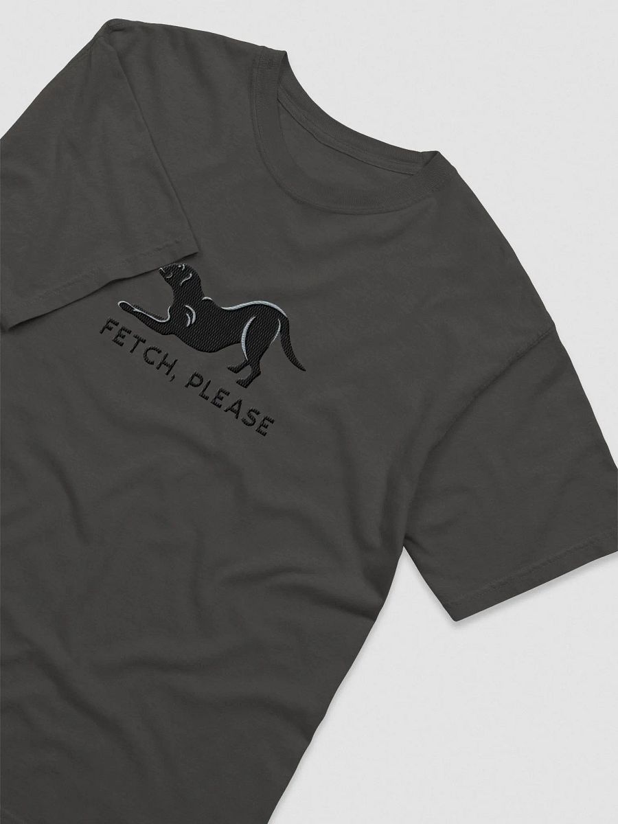 Fetch Please T-Shirt(Embroidered) of a Labrador Retriever(Black) product image (50)