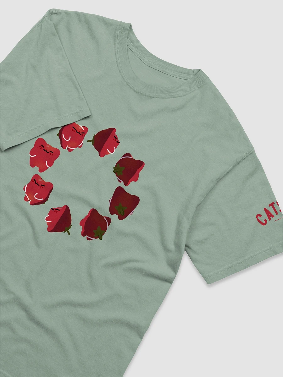 Catsup Phases Tee product image (3)