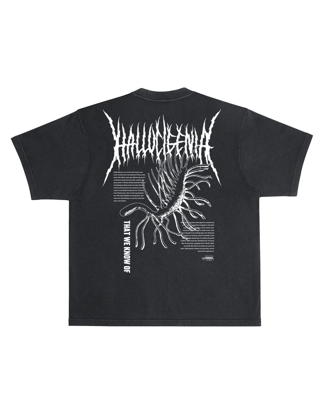 Hallucigenia Tee- Black product image (2)