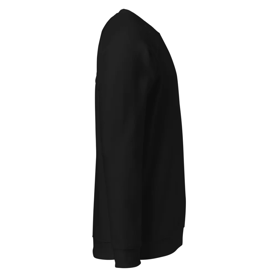 Sweatshirt_Frankfurt product image (4)