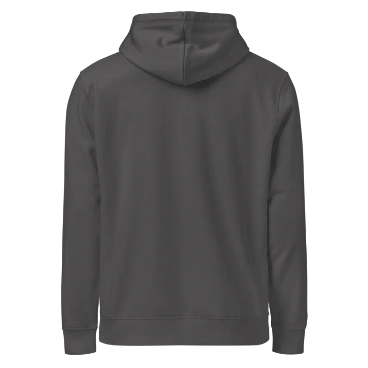 Kid Airplane (Stanley/Stella Unisex Organic Hoodie) product image (23)