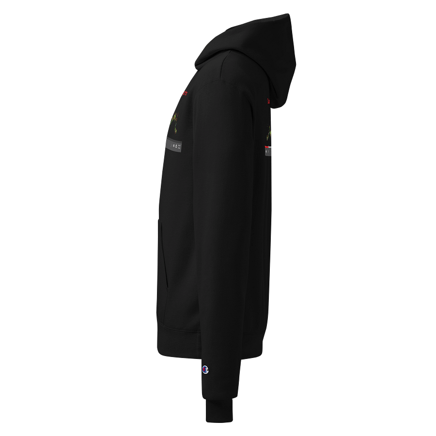 chasing-the-youtube-algorithm-hoodie product image (3)