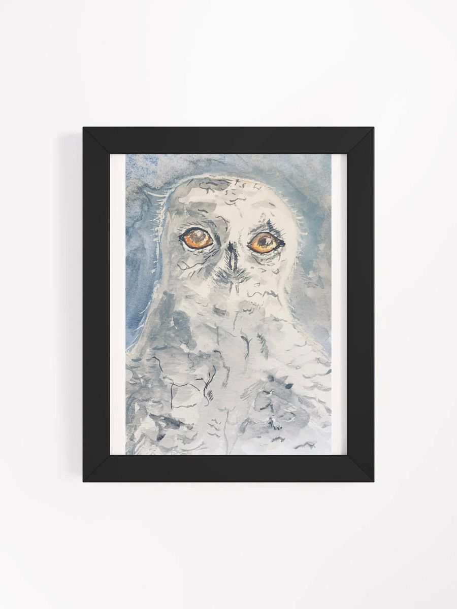 White Owl product image (11)