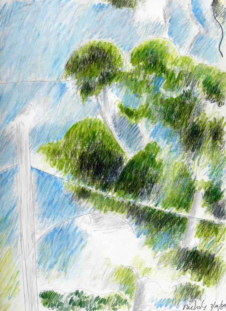 Eucalyptus 1984 print product image (1)