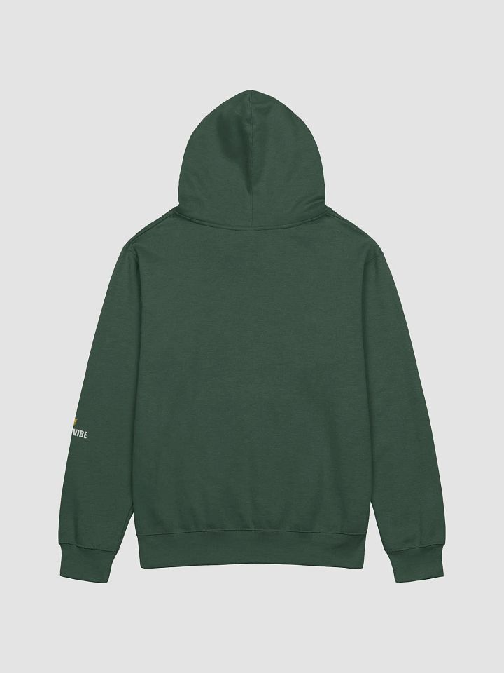Be a Vibe Hoodiez product image (17)