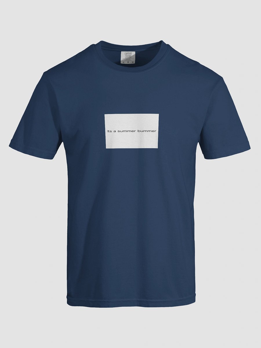 its a summer bummer product image (13)