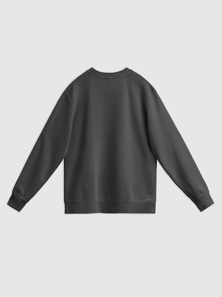 Ugliest Midweight Pigment Dyed Sweatshirt product image (7)