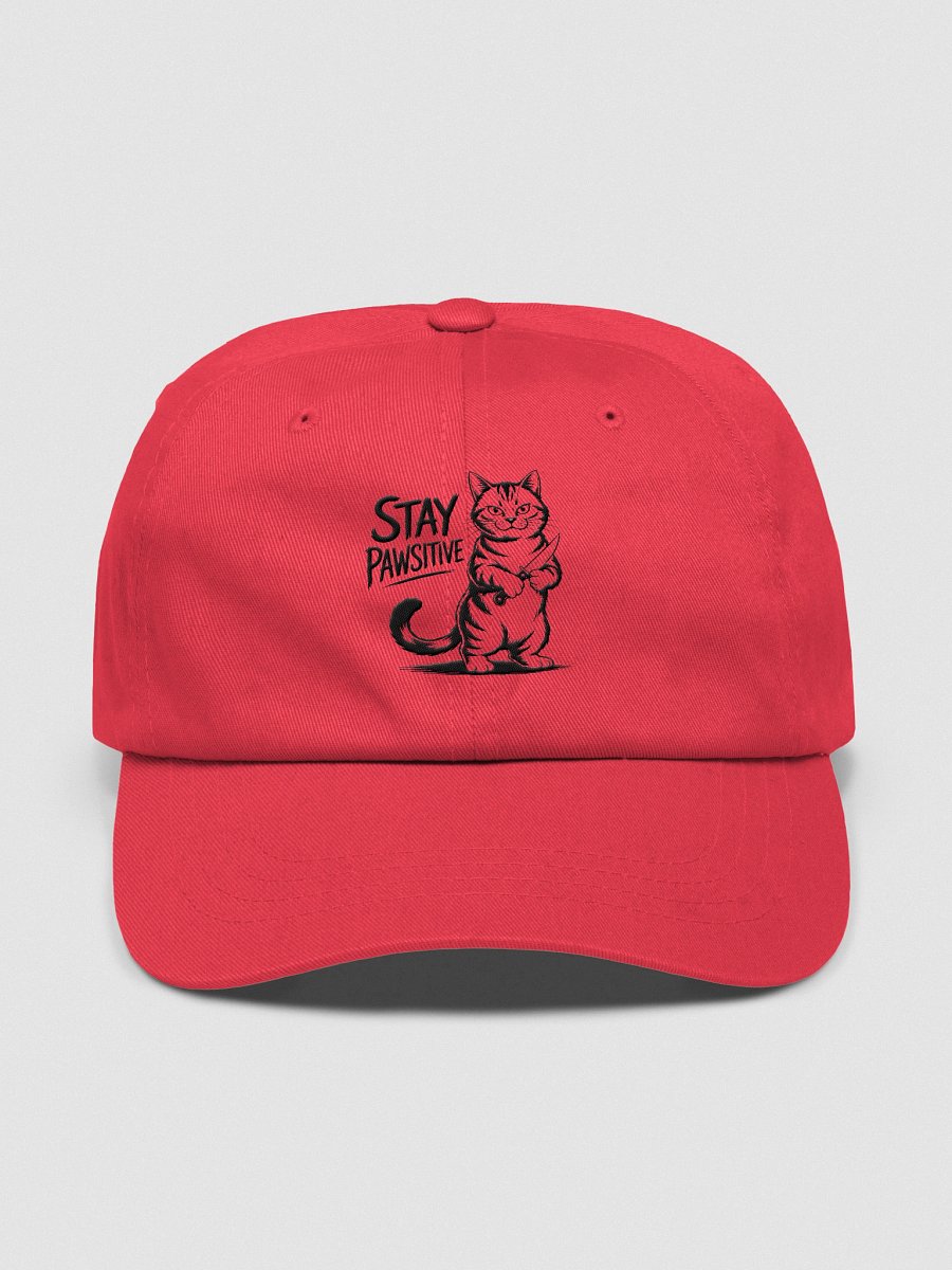 Stay Pawsitive embroidered low profile cap product image (3)
