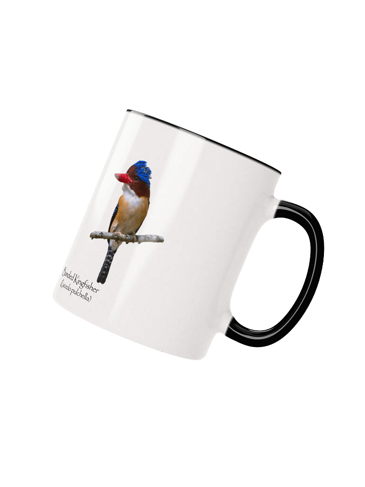 Banded Kingfisher mug product image (2)