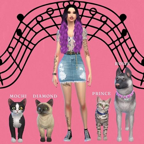 Here is Emma's Sim with her animals and her set up in my SimsTwitchWorld! I hope you guys like this amazing setup I did for h...