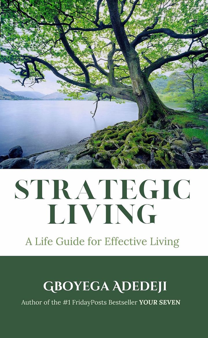 Strategic Living: A Life Guide for Effective Living product image (1)