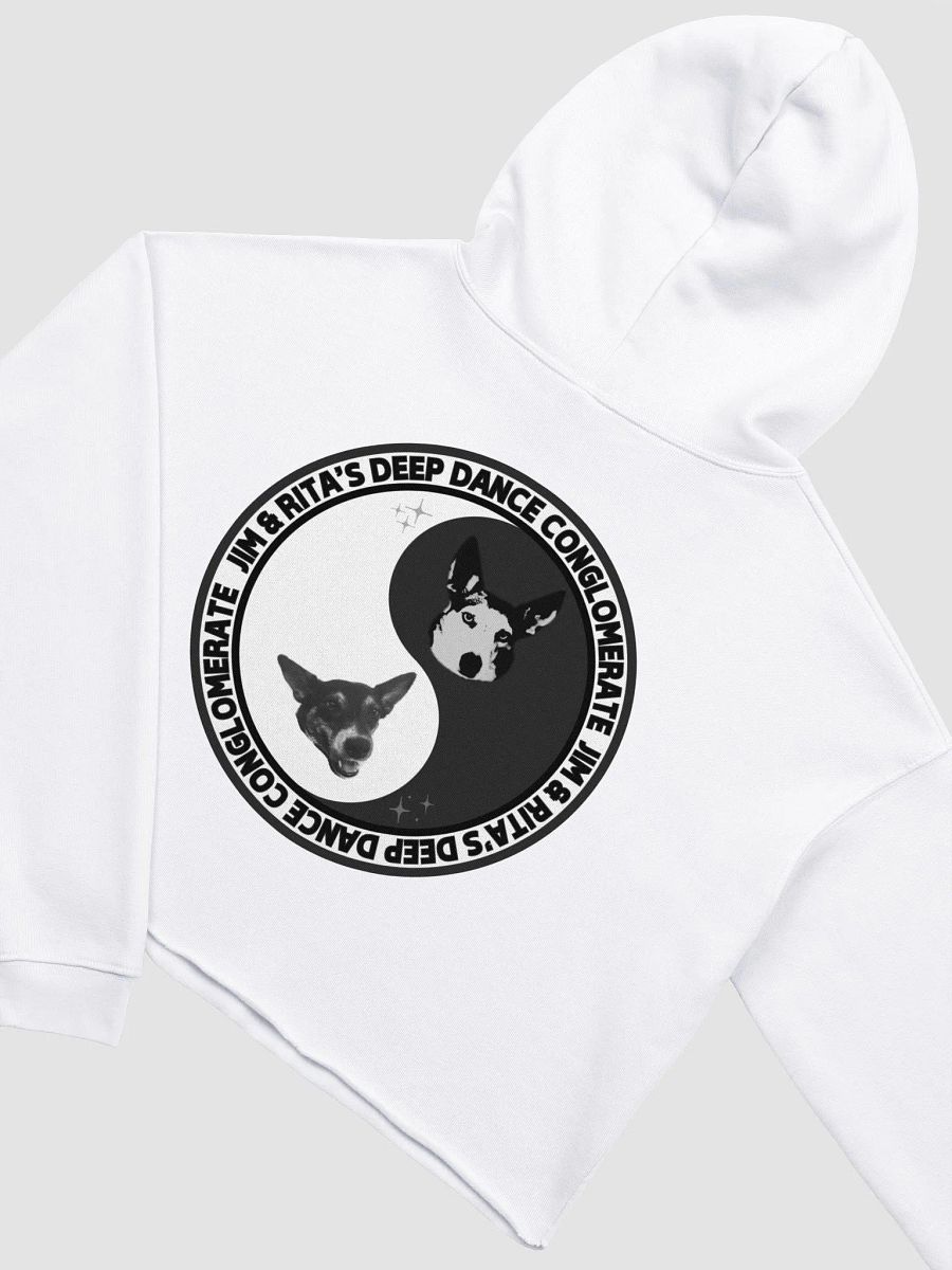JRDDC SUMMR CROP HOODIE product image (4)