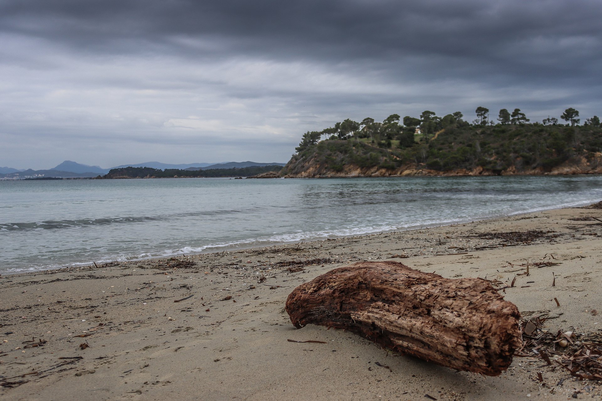 Driftwood on a Deserted Beach – Bregançon, France product image (1)