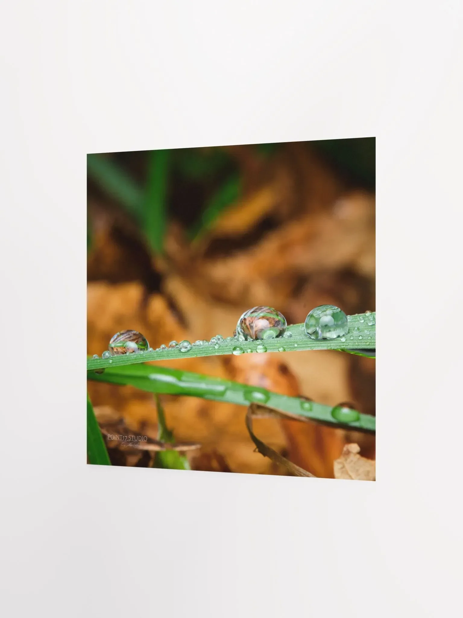 Dew Gems #11 - Print product image (5)