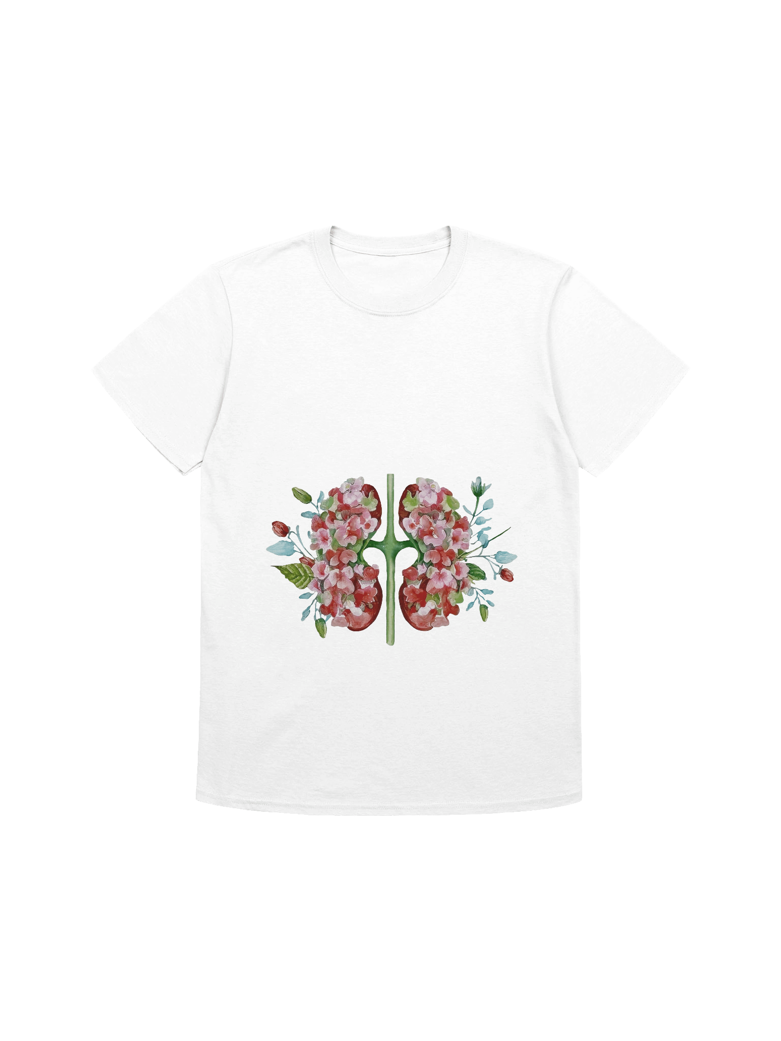 Botanical Anatomy Kidney Illustration product image (1)