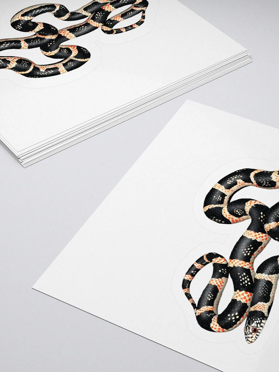 Die-Cut Sticker – Longnosed Snake product image (4)