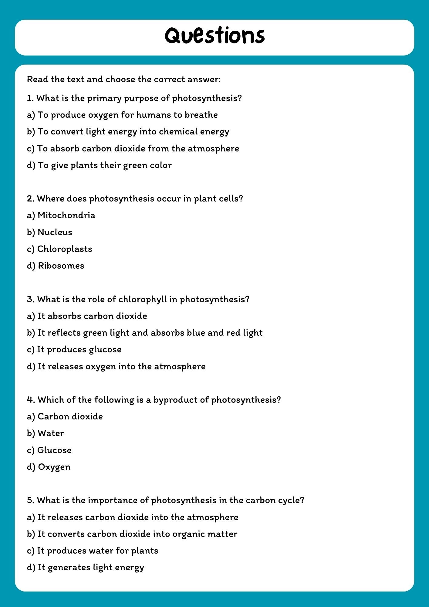 Photosynthesis Reading Comprehension Passage with Questions (PDF Download) product image (2)