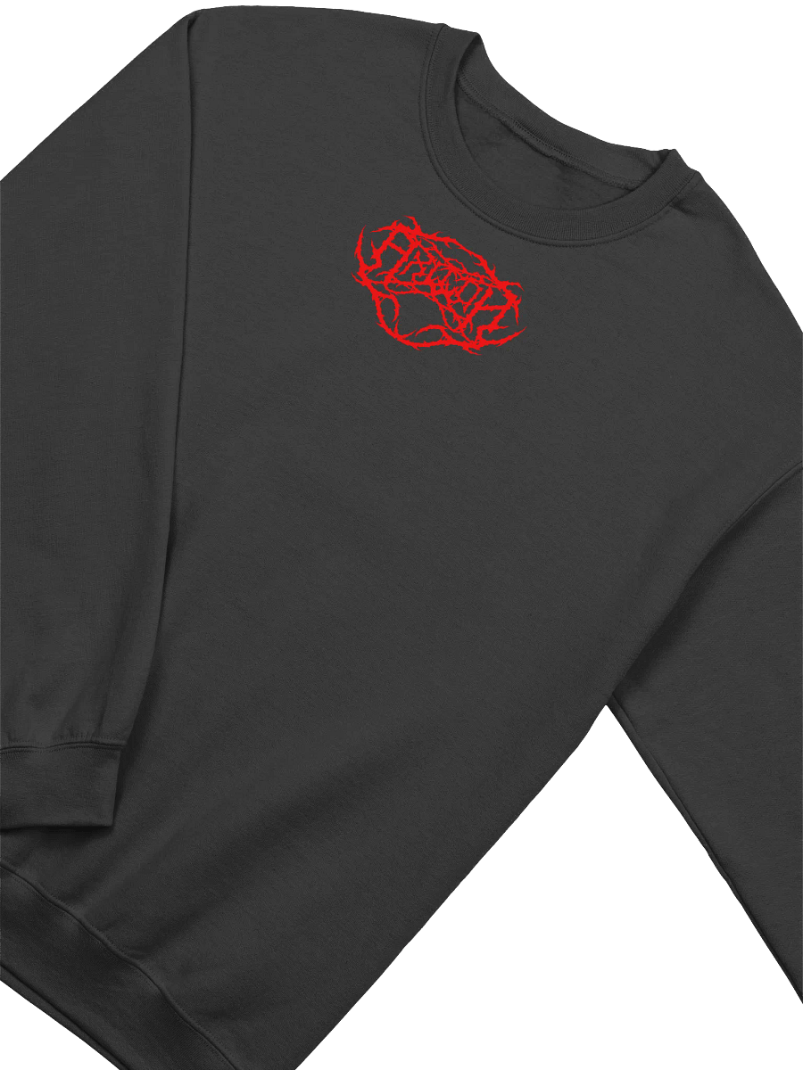 AXILON LOGO CREWNECK 2 product image (2)