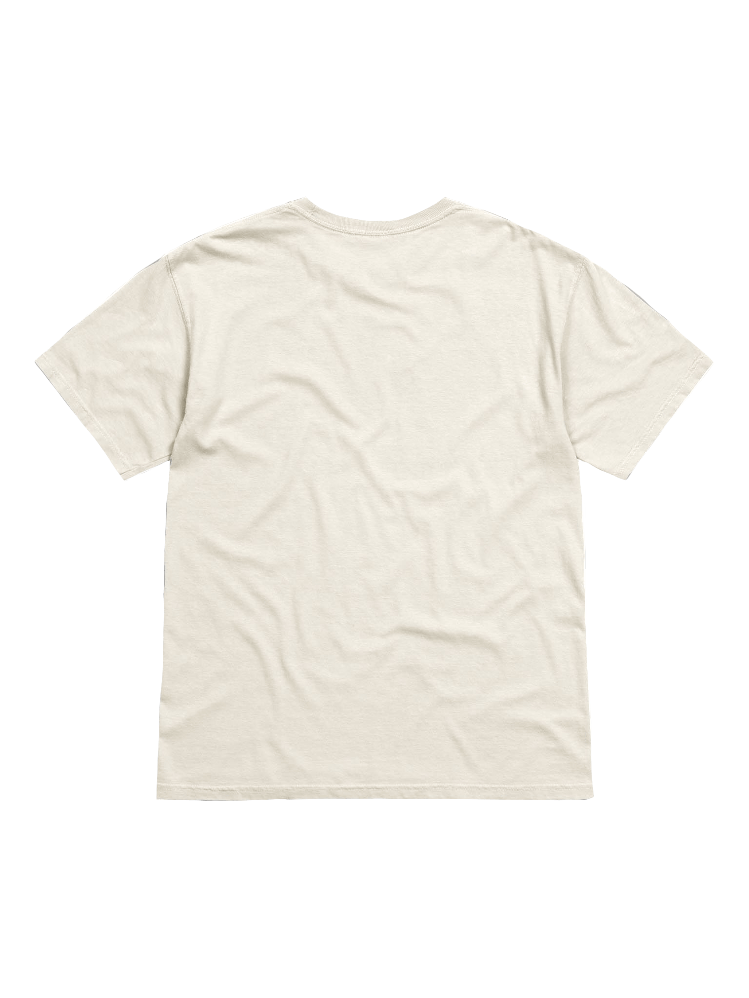 Epic NPC Man T-shirt product image (4)