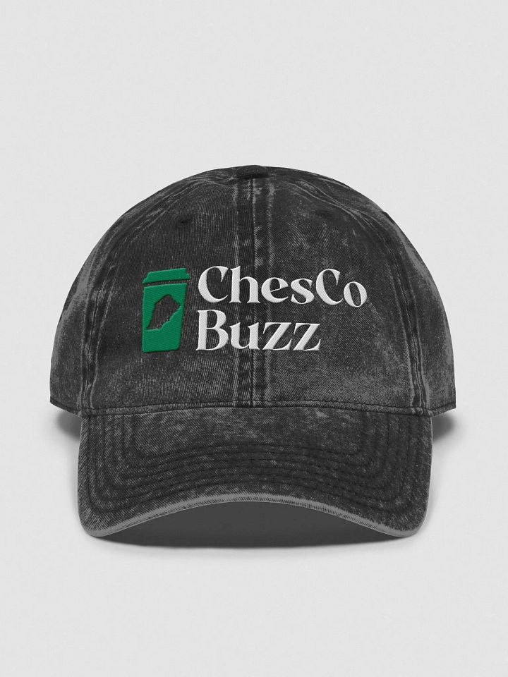 ChesCo Buzz Dad Hat product image (1)