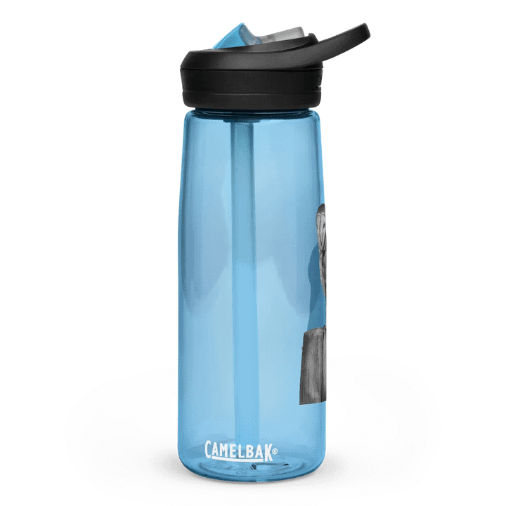 Barn Owl Drawing Water Bottle Straw product image (4)