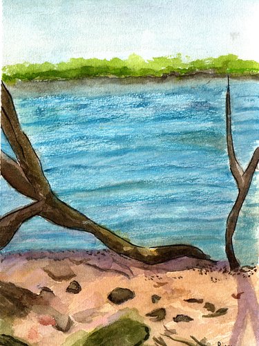 Recent landscape from a photo I took while having some outside time. I absolutely love painting water 

Accessibility: waterc...