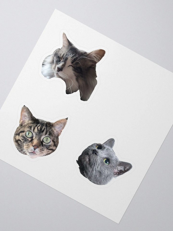 Kitty Stickers product image (4)