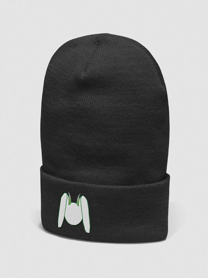 Logo Beanie product image (1)