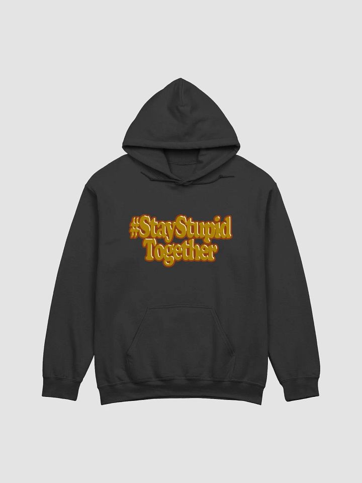SST Hoodie product image (1)