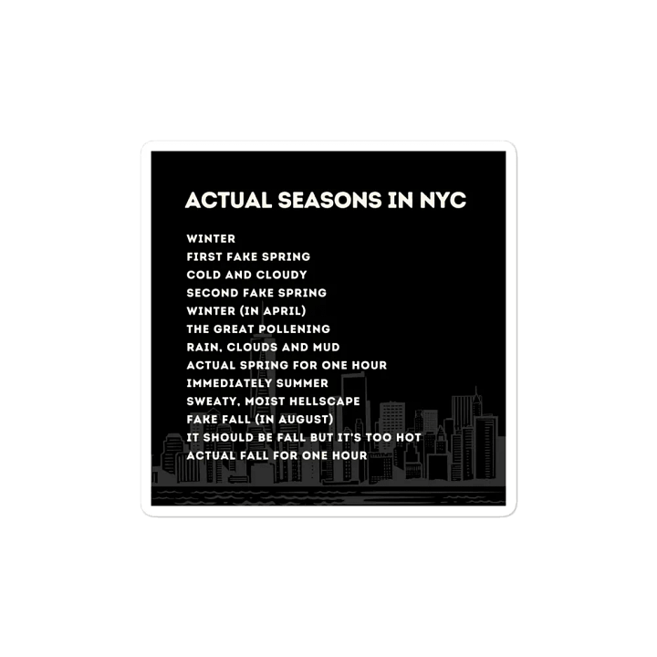 Actual Seasons in NYC Magnet product image (2)