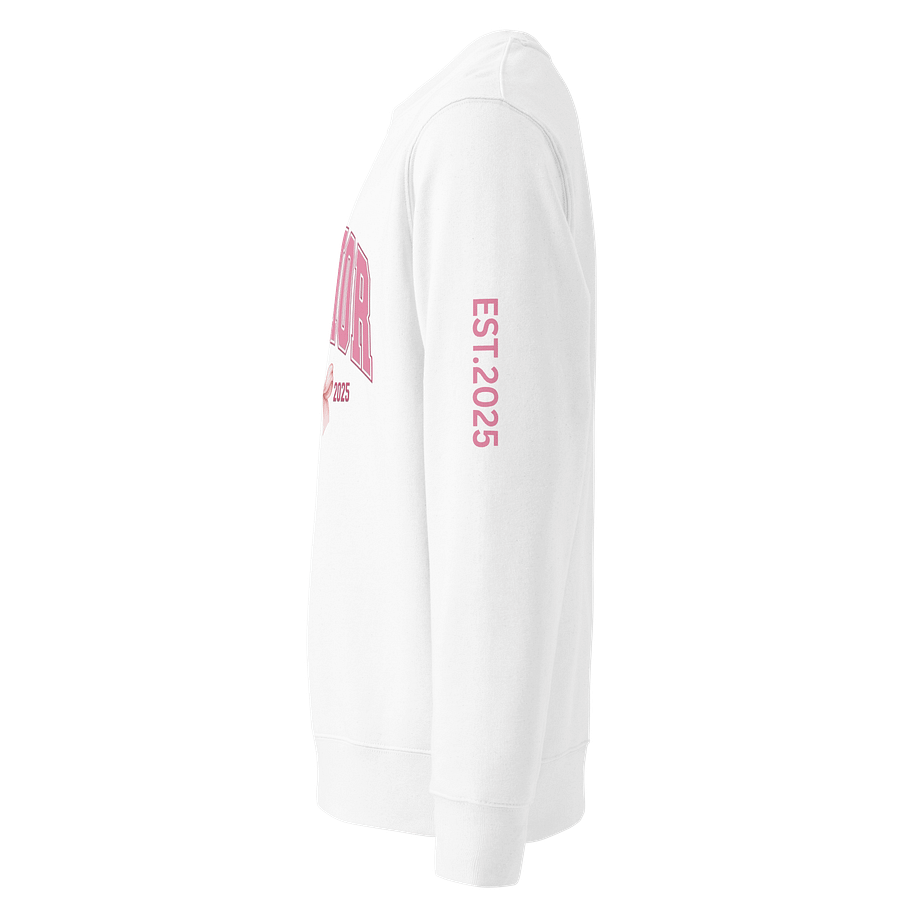 Senior Class 2025 Pink Bow Sweatshirt product image (3)