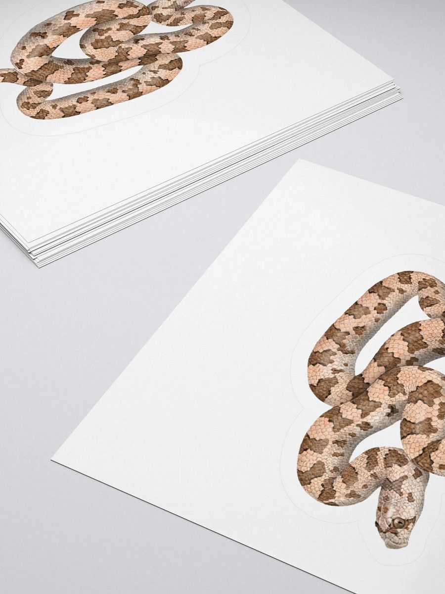 Die-Cut Sticker – Spotted Leaf-nosed Snake product image (11)