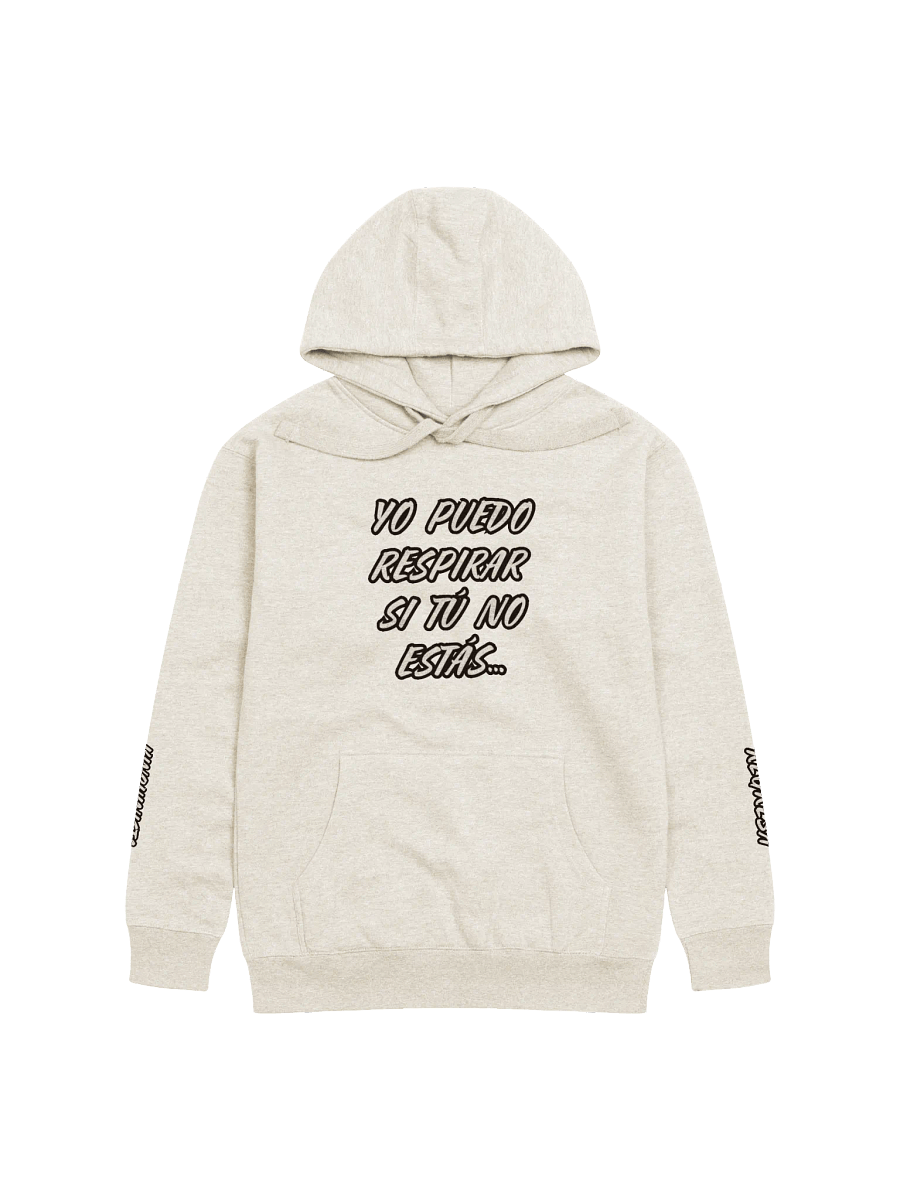 Regresa - Unisex Premium Hoodie product image (2)